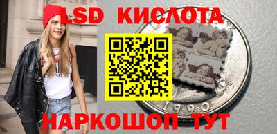 прущие крисы Моздок