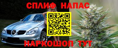 прущие крисы Моздок