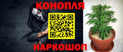 прущие крисы Моздок