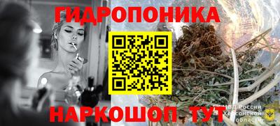 apvp Можайск