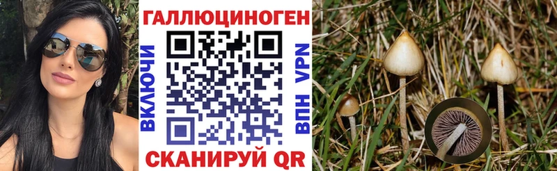 дарк нет формула  Шахты  Псилоцибиновые грибы GOLDEN TEACHER  где купить наркотик 