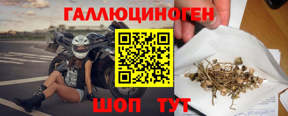 Шахты  Псилоцибиновые грибы Cubensis  Вход с VPN 