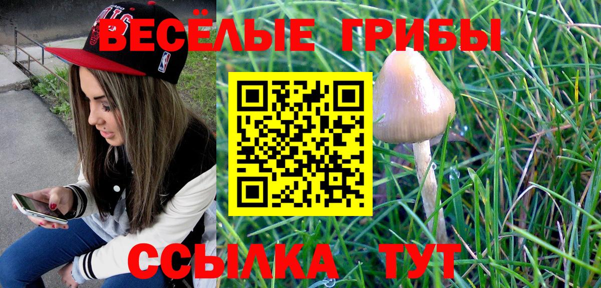 Псилоцибиновые грибы MAGIC MUSHROOMS Шахты